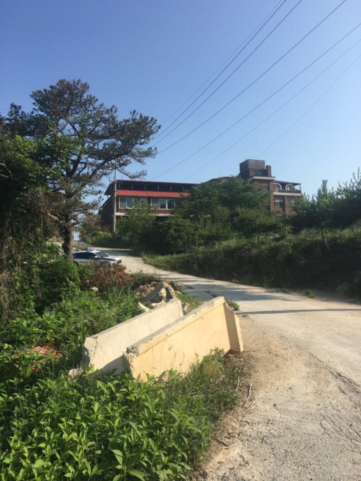 성서침례대학원대학교-똥개-2