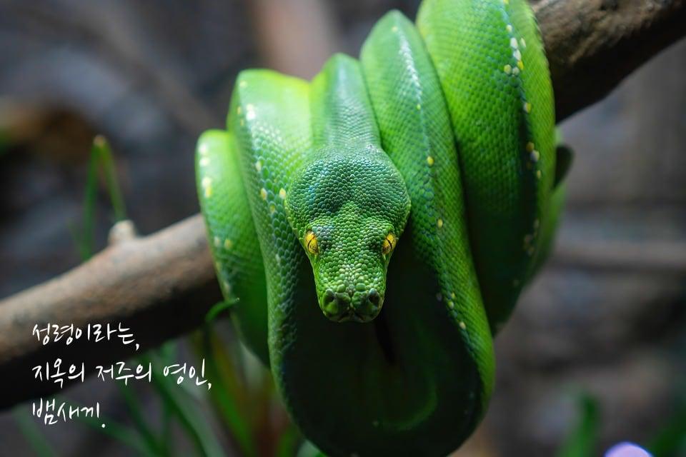 성령이라는-지옥의-저주-뱀새끼-1-2
